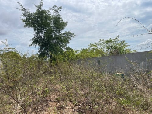 🏦Land Available for Urgent Sale at a Special Price (Negotiable).