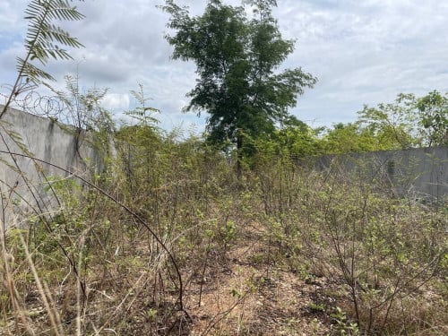 🏦Land Available for Urgent Sale at a Special Price (Negotiable).