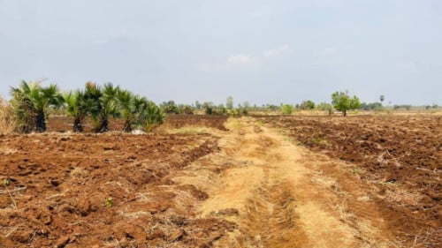 🏦Land Available for Urgent Sale at a Special Price (Negotiable).