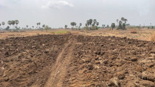 🏦Land Available for Urgent Sale at a Special Price (Negotiable).