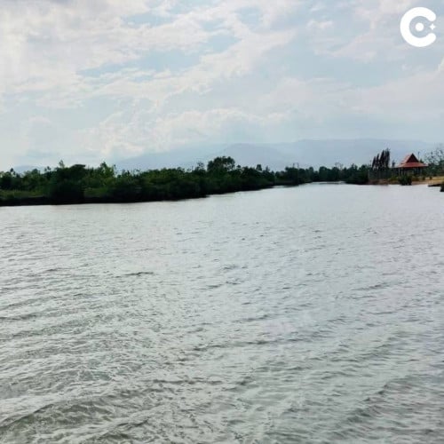 📍ដីកោះលក់ ស្រុកទឹកឈូ, ខេត្តកំពត - Land for Sale Teuk Chhou District, Kampot •$1,723,140 ($45/m2)