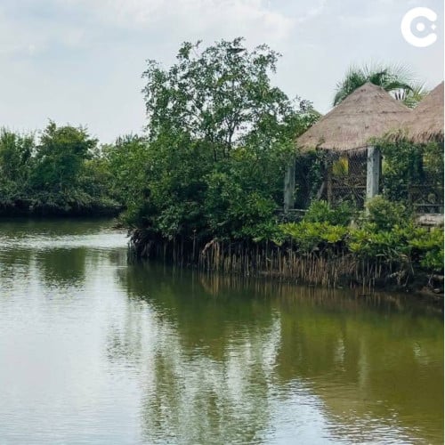 📍ដីកោះលក់ ស្រុកទឹកឈូ, ខេត្តកំពត - Land for Sale Teuk Chhou District, Kampot •$1,723,140 ($45/m2)