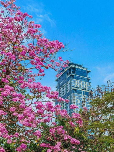 Condo for rent 公寓出租 / Rental fee 租金: 950$ (Can negotiation)