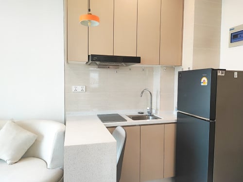 Condo R&F Miro 1Bed for rent in 60m road to Airport