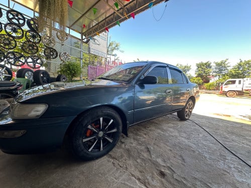 Corolla Le