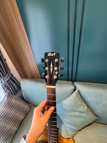Cort SFX Myrtlewood Guitar for sale