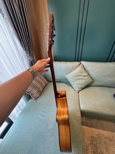 Cort SFX Myrtlewood Guitar for sale