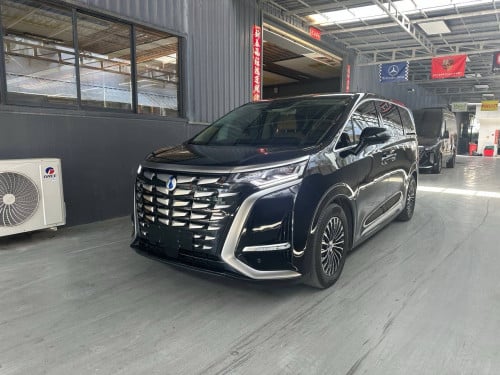 Denza D9 REEV 2025