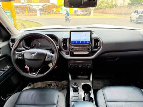 Ford Branco 2021 gasoline