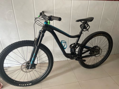 Giant tranec2