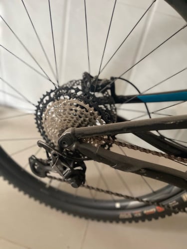 Giant tranec2