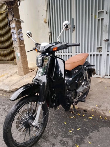 GPX PopZ 2025 950$