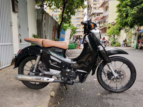 GPX PopZ 2025 950$