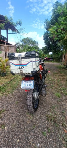 Honda FTR 223