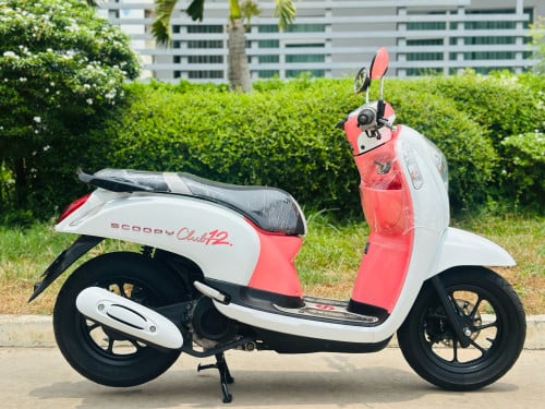 HONDA SCOOPY 015 ម៉ាសុីនតាន់ហាប់នែនជិះស្រួលមិនលាន់មិនហុយមានពន្ធកាតគ្រឺហ្សីន