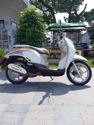 Honda scoopy 2012