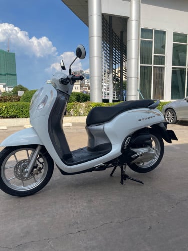 Honda Scoopy 2022 ម៉ូតូក្រុមហ៊ុន មានកាតគ្រីត្រឹមត្រូវ