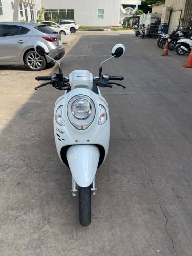 Honda Scoopy 2022 ម៉ូតូក្រុមហ៊ុន មានកាតគ្រីត្រឹមត្រូវ