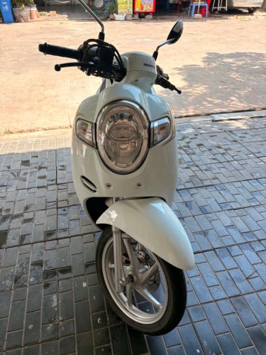 Honda Scoopy019