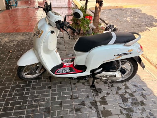 Honda Scoopy019