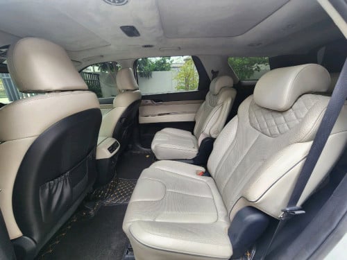 Hyundai palisade 2020