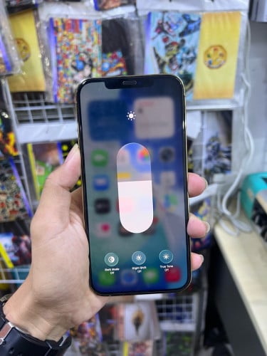 iPhone 12 Pro Max 256GB