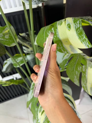 iPhone 13 249$ សំណុំសុីន🥰Memory 128g ម៉ាសុីន chអត់ដើរស្កេនមុខ ក្រៅពីនិងដំណើរការទាំងអស់