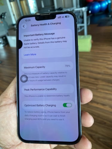 iPhone 13 Pro Max 256GB