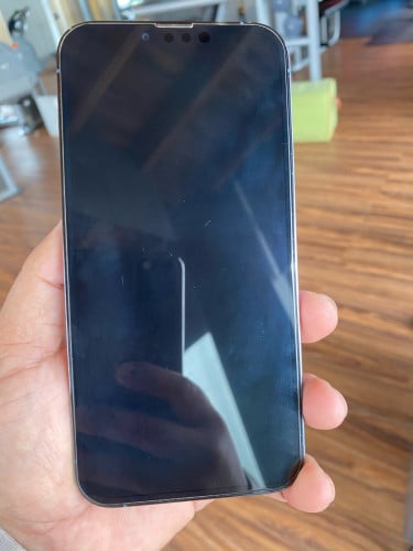 iPhone 13 Pro Max 256GB
