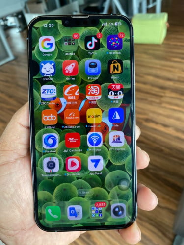 iPhone 13 Pro Max 256GB