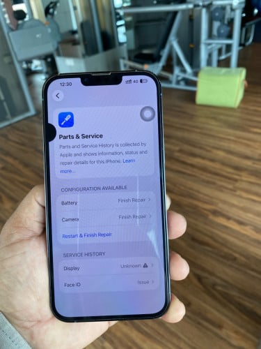 iPhone 13 Pro Max 256GB