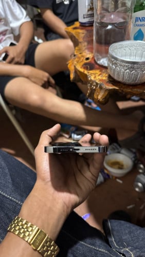 iPhone 13ProMax 128G LL/A
