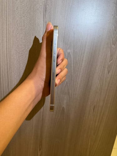 iPhone 15 pro max ប្រភេទដូរអេក្រង់ហ្សុីន