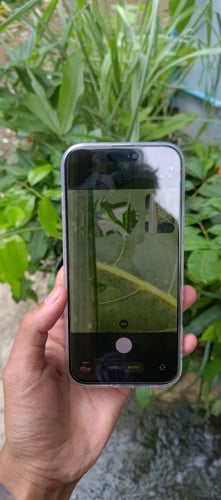 Iphone 16promax By pass