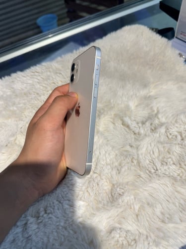 iPhone12