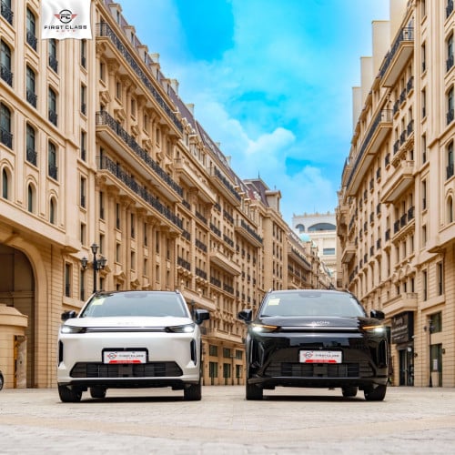 Model: Aion i60 EV (650kg) Option Advanced Edition