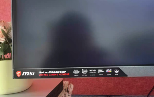 msi monitor 30inch ultrawide 2k 200hz 180$