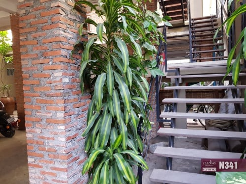 N341 | Furnished Studio Apartment For Rent With Private Balcony in BKK3 For Rent