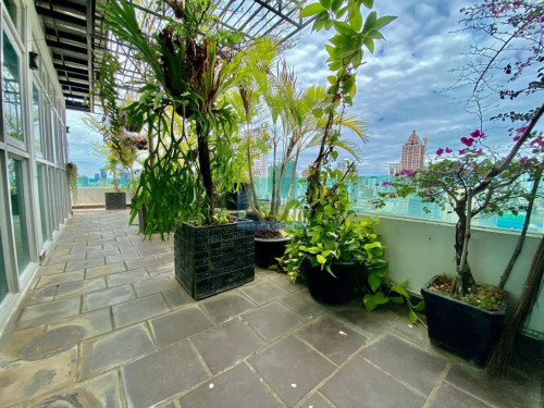N506 | 3 Bedrooms Penthouse Apartment For Rent in BKK3 with gym and pool