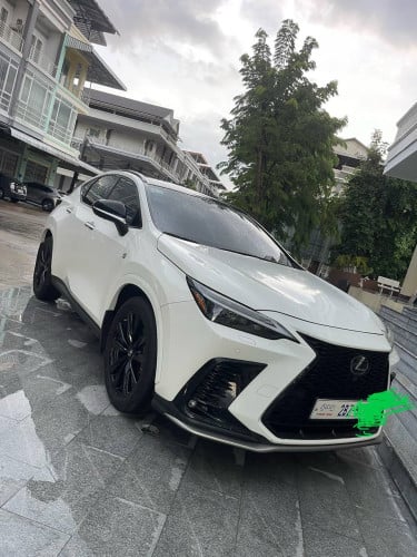 NX 350 AWD 2023 Fsport