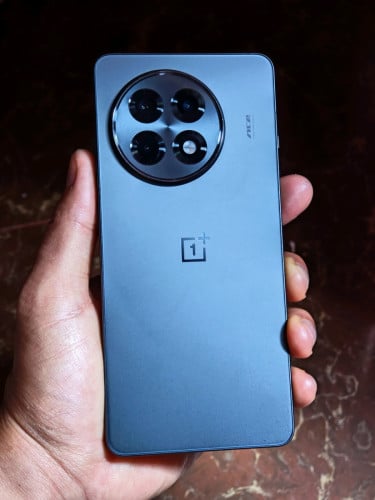 Oneplus 13R Global firmware