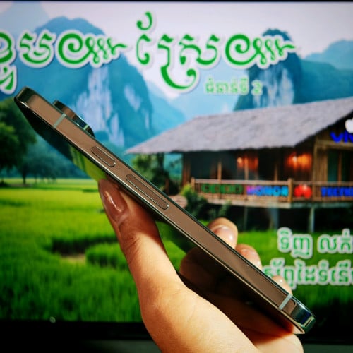 Pixel 9 Pro XL USA (វ៉ៃដូរបាន)មានធានាច្បាស់លាស់ត្រឹមត្រូវ