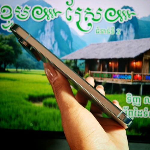 Pixel 9 Pro XL USA (វ៉ៃដូរបាន)មានធានាច្បាស់លាស់ត្រឹមត្រូវ