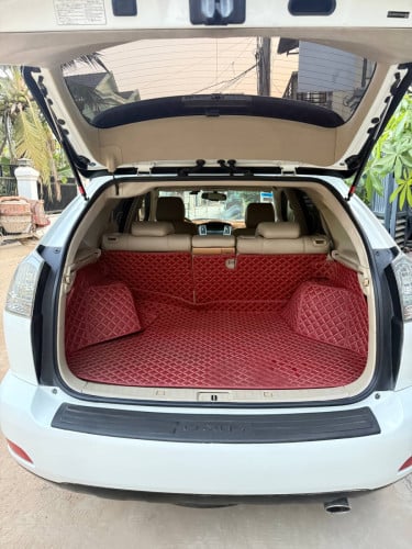 RX330 Best option 2004 pong1