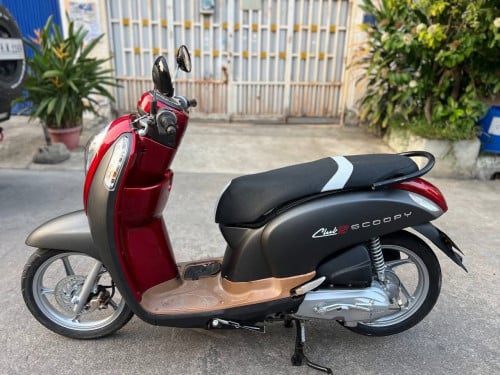 Scoopy 016