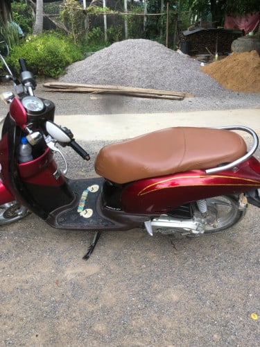 scoopy 2008