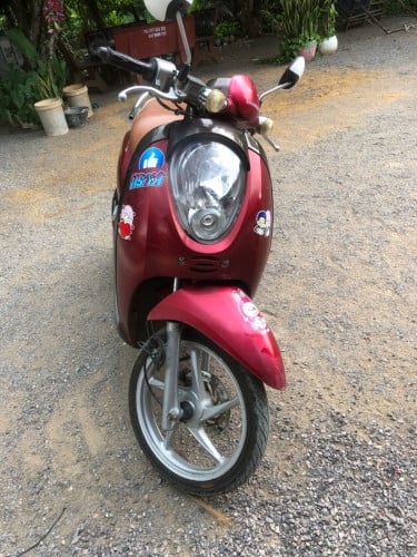 scoopy 2008