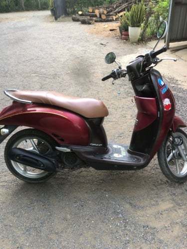 scoopy 2008