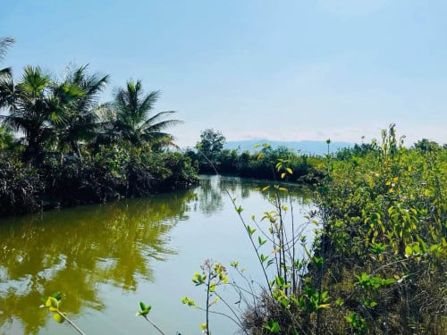ខេត្ត​កំពត​ ដីលក់ជាប់ព្រែក