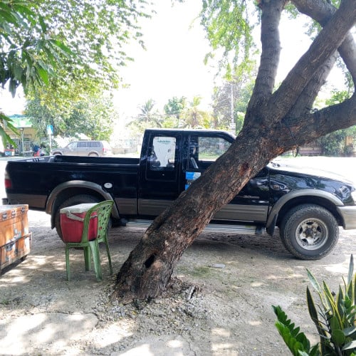 លក់